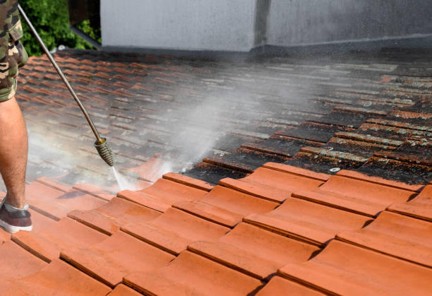 Best Concrete Pressure Washing  in Crouch Mesa, NM